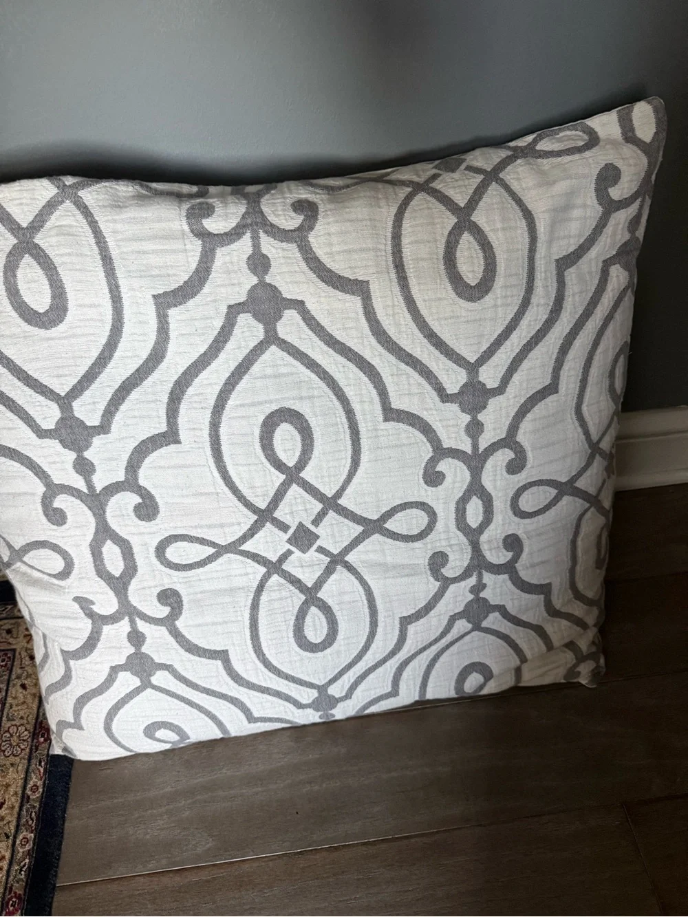 Pottery Barn Genevieve Scroll Jacquard Cotton Euro Sham set